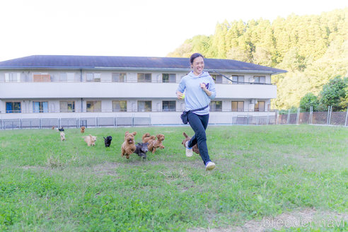 成約済の千葉県のカニンヘンダックスフンド(ロングヘアード)-279375の2枚目